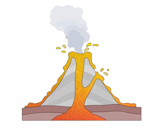 An image in a quiz