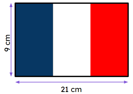 An image in a quiz