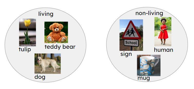 An image in a quiz