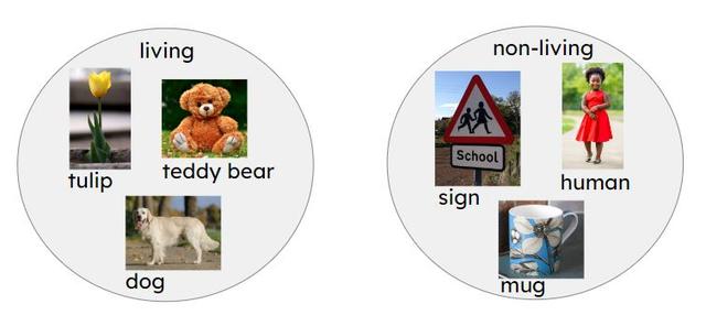 Which two things have been put into the wrong sorting hoop?