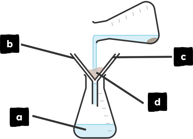 An image in a quiz