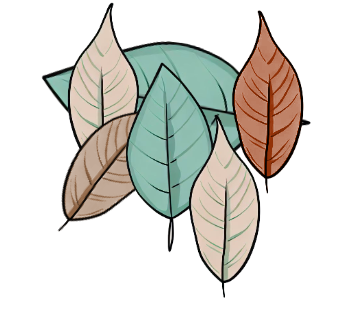 An image in a quiz
