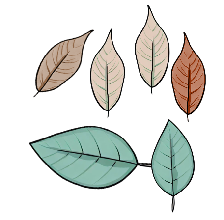 An image in a quiz
