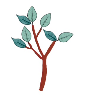 An image in a quiz