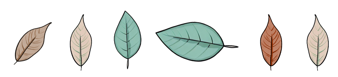 An image in a quiz