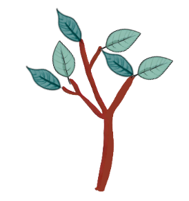 An image in a quiz