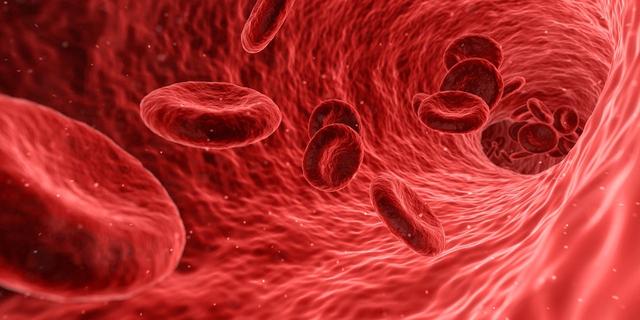 blood type