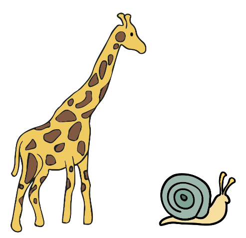 An image in a quiz