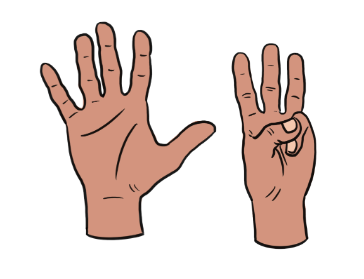 An image in a quiz