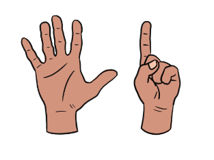 An image in a quiz