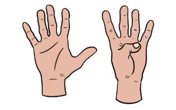 An image in a quiz