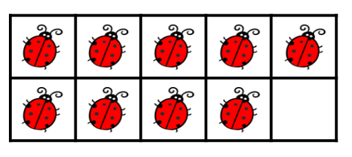 An image in a quiz