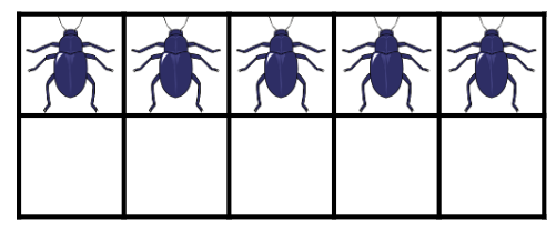 An image in a quiz