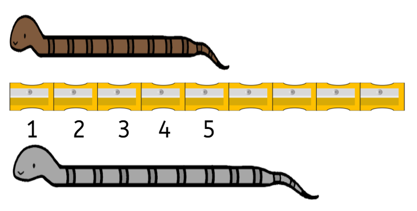 An image in a quiz