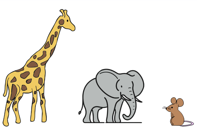 An image in a quiz
