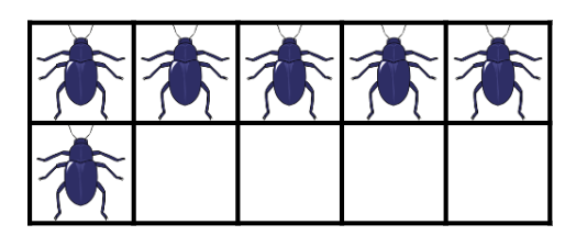 An image in a quiz