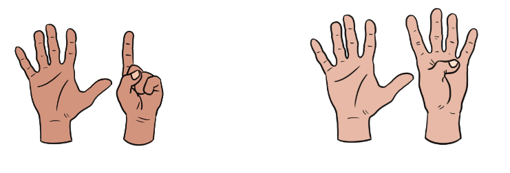 An image in a quiz