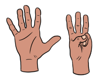 An image in a quiz