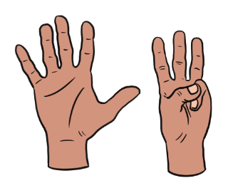 An image in a quiz
