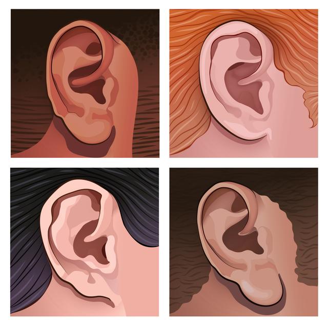 An image in a quiz
