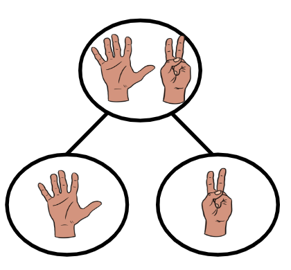 An image in a quiz