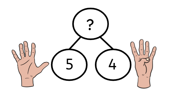 An image in a quiz