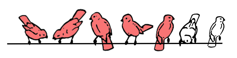 An image in a quiz
