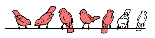 Which beads represent the red and white birds?