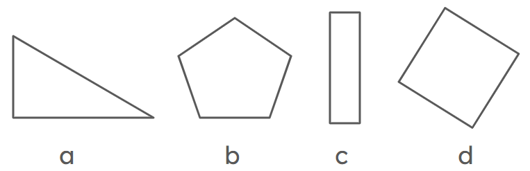 An image in a quiz