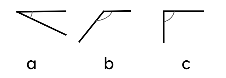 An image in a quiz