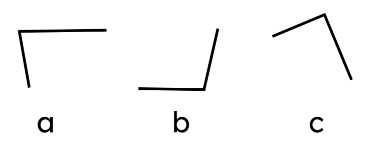 An image in a quiz