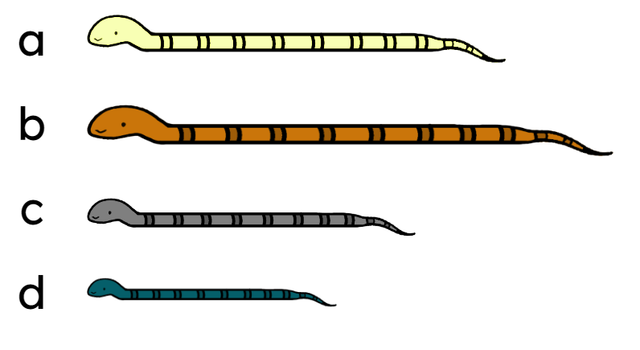 Which snake matches this description? This snake is shorter than snake b but longer than snake c.