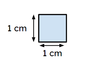 An image in a quiz