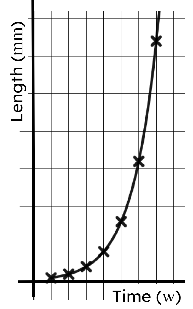 You can draw a line through the points of this geometric sequence because it is modelling data that is ...