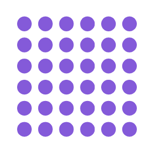 An image in a quiz