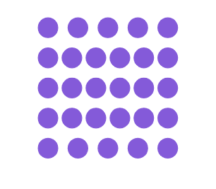 An image in a quiz