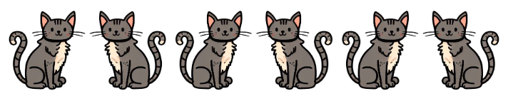 An image in a quiz