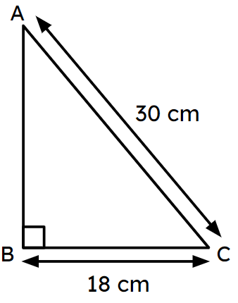 An image in a quiz