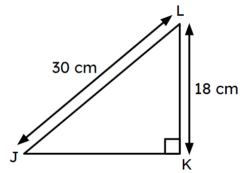 An image in a quiz