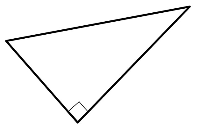 An image in a quiz