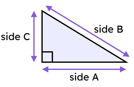 An image in a quiz