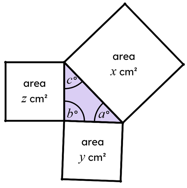An image in a quiz