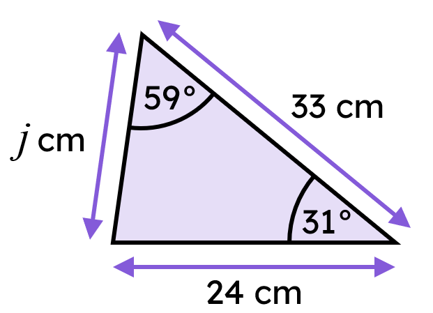 An image in a quiz