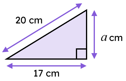 An image in a quiz