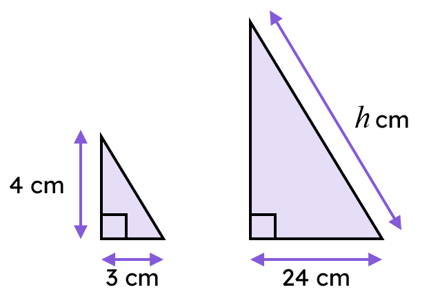 An image in a quiz