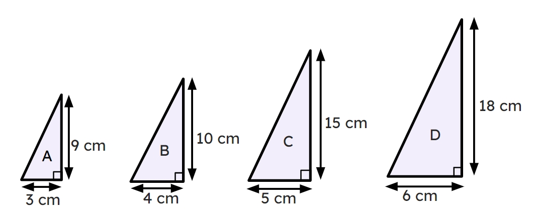 An image in a quiz