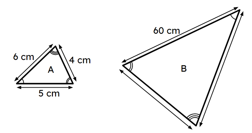 An image in a quiz