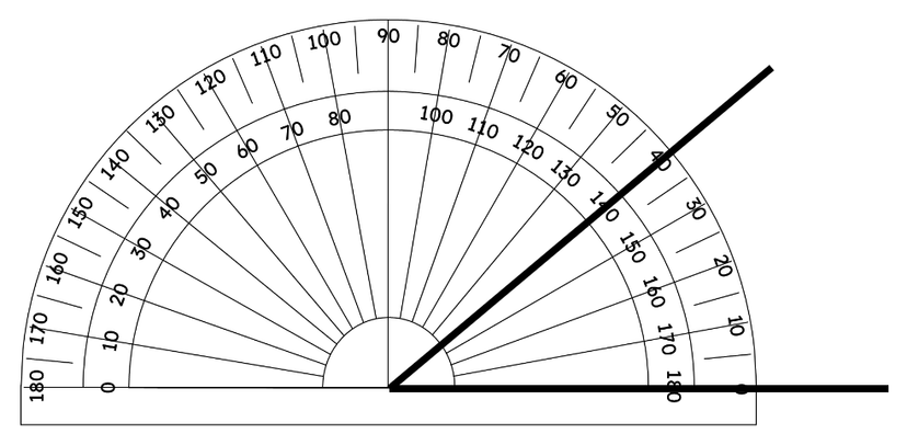 An image in a quiz