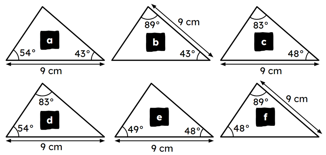 An image in a quiz