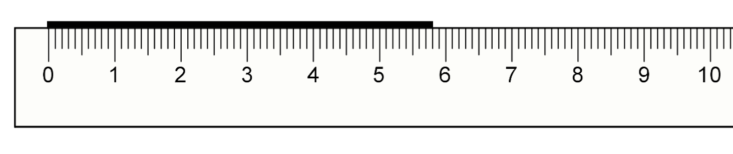 An image in a quiz